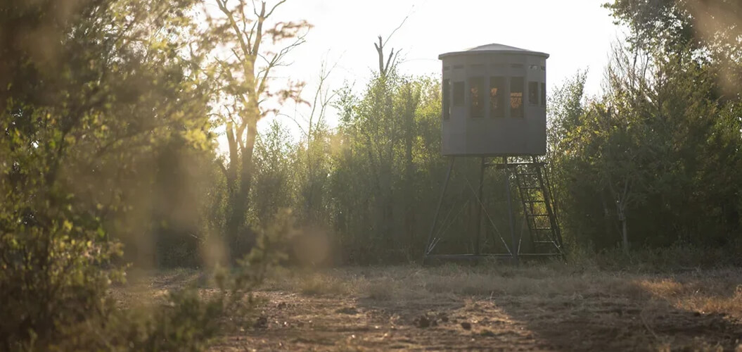 A hunting blind surrounded by trees and vegetation during sunset.
